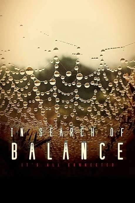 In Search of Balance